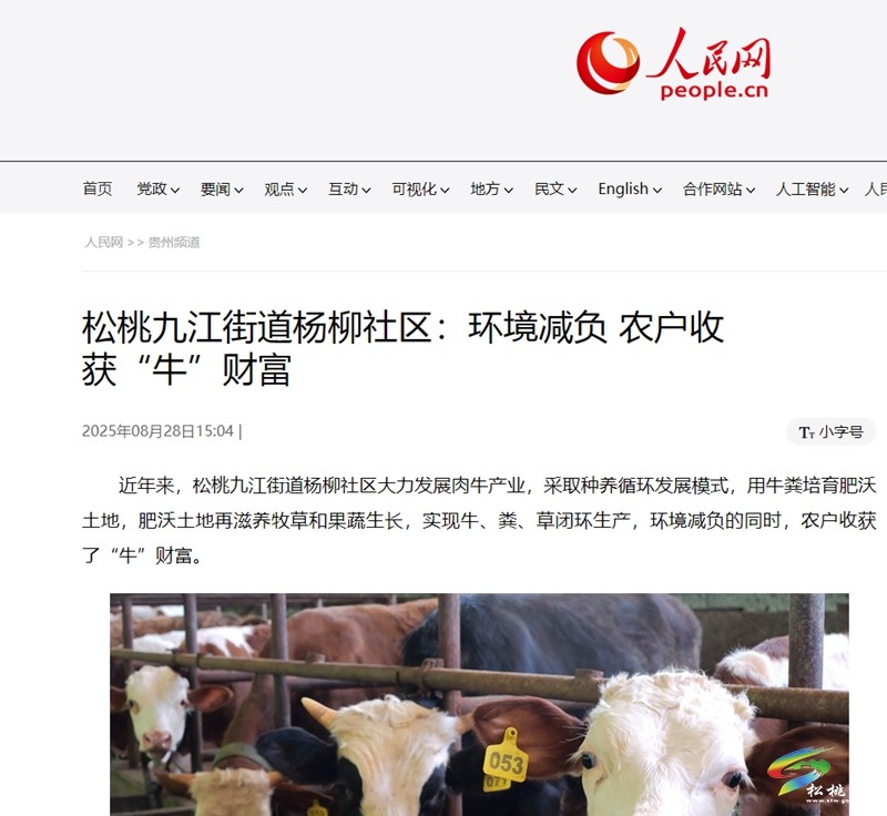 【成績單來了！】松桃2025年8月份對外宣傳成績單