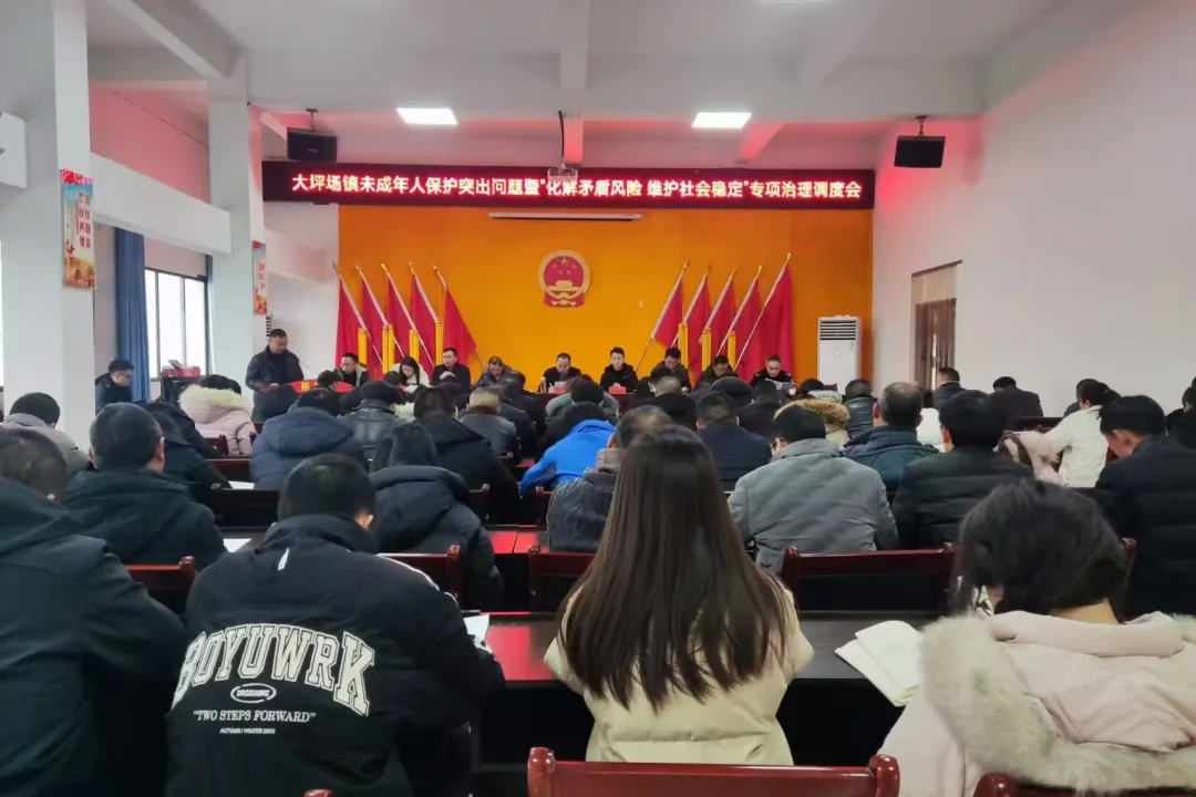 大坪場鎮(zhèn)：“四個+”提升“兩個專項治理”工作質(zhì)效