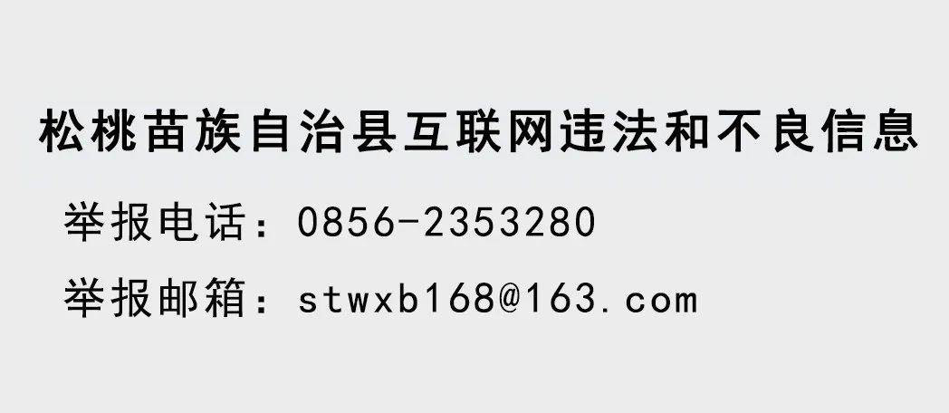一圖讀懂丨2025貴州省政府工作報告