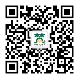 首屆“相約梵凈山·黔金絲猴邀您過新年”迎新游園活動(dòng)即將開始啦