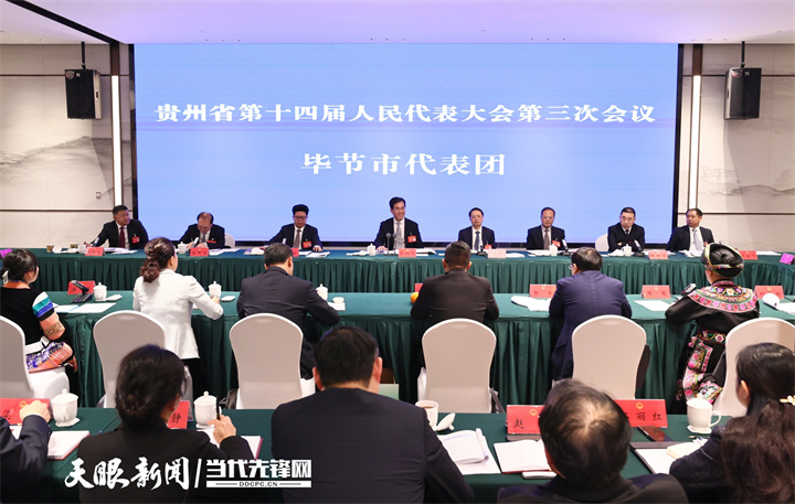 李炳軍參加畢節(jié)代表團(tuán)審議