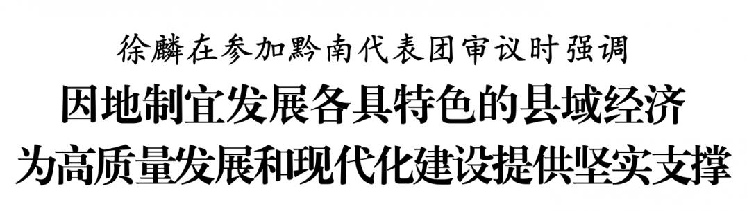 徐麟?yún)⒓忧洗韴F(tuán)審議