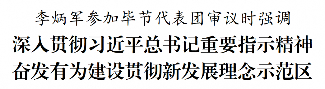 李炳軍參加畢節(jié)代表團(tuán)審議
