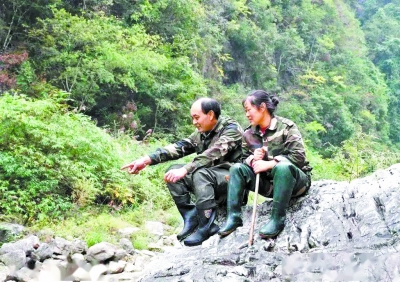 護林夫妻在山林蒼翠間共護一片青綠