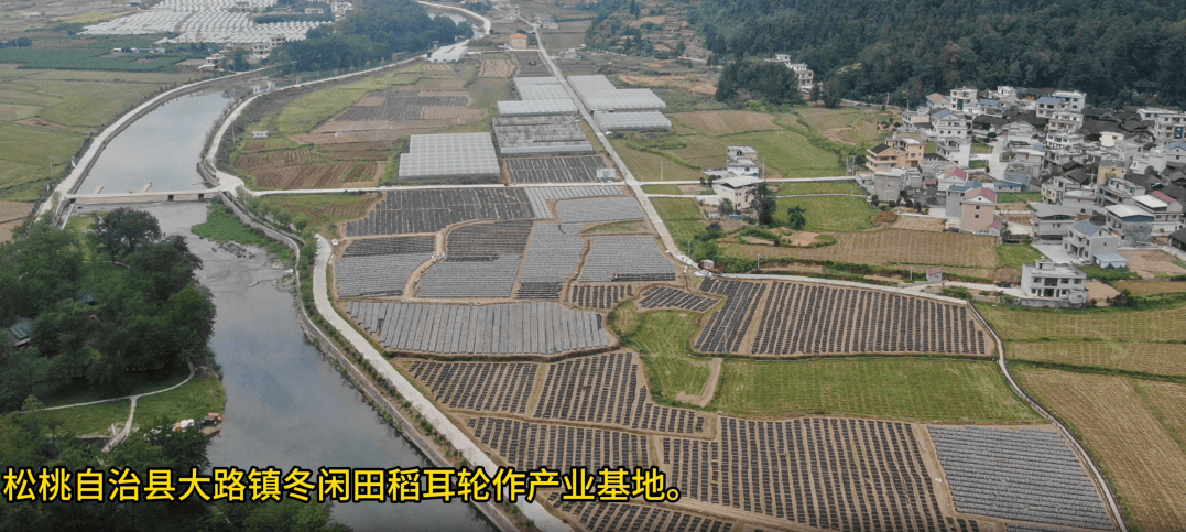 讓村民腰包鼓起來！貴州松桃大力推進“強村富民”行動
