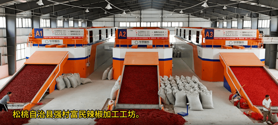 讓村民腰包鼓起來！貴州松桃大力推進“強村富民”行動