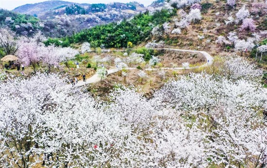 【武陵視界】鄉(xiāng)愁印跡·村史村事｜碧江路臘村：以農體旅為筆 繪就鄉(xiāng)村振興新畫卷