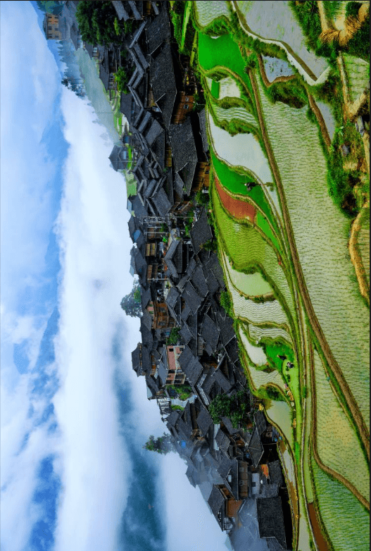 100天的春季 100分的美麗 | 貴州春日漫游“指南”