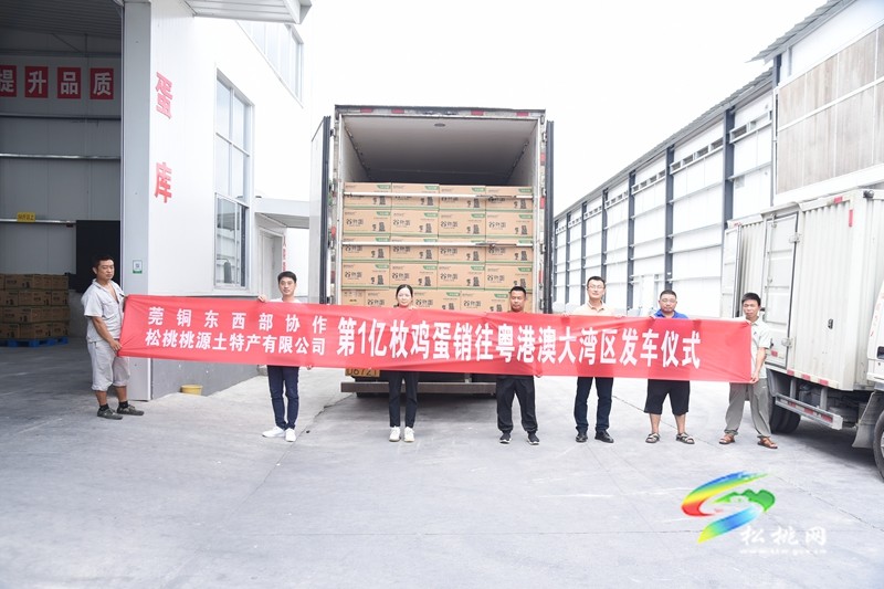 松桃：桃源土特產(chǎn)公司第1億枚雞蛋銷售至粵港澳地區(qū)